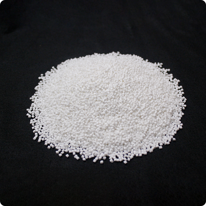 Nylon 6 chips
